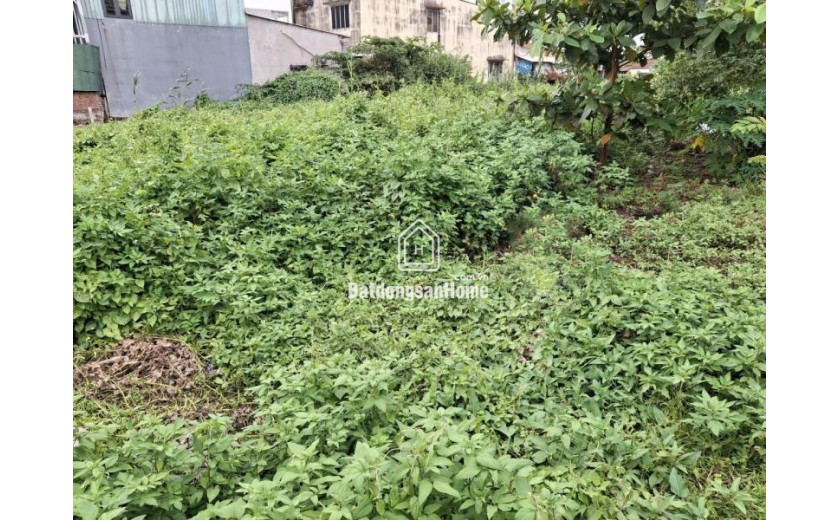 Đất vuông HXH 92m2, Vuông – Tô Ngọc Vân Q12